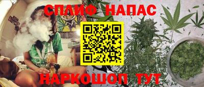 стафф Нальчик