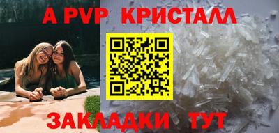 стафф Нальчик