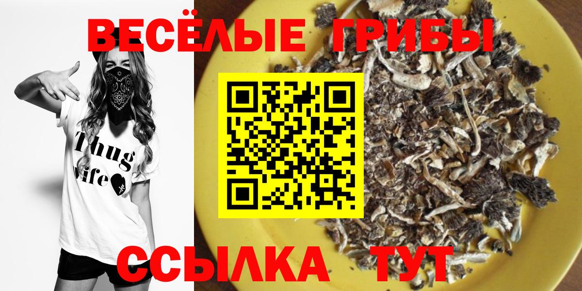 Галлюциногенные грибы Psilocybine cubensis Лиски